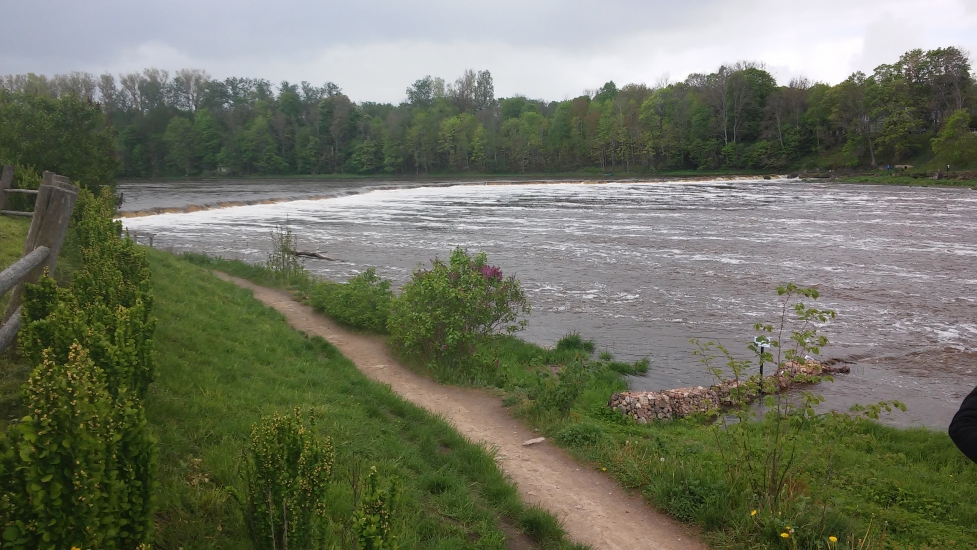20160517_124851.jpg