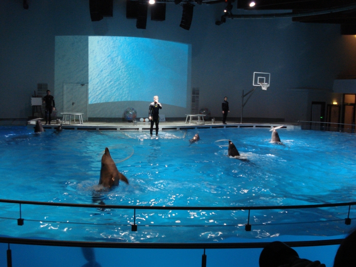 DSC04256.JPG