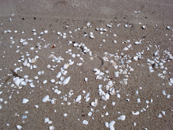 DSC04295.JPG