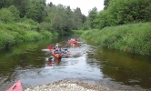 20160614_103958.jpg