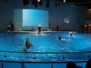 DSC04256.JPG