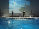 DSC04275.JPG