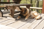 DSC04823.JPG