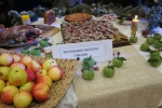 DSC07517.JPG