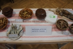 DSC07521.JPG