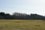 DSC08154.JPG