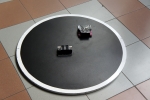 DSC08833.JPG