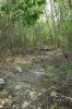 DSC09566.JPG