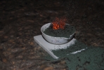 DSC_0379.JPG