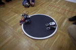 _IGP6264.JPG