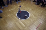 _IGP6310.JPG