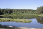 _IGP9805.JPG