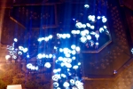 _IGP9959.JPG