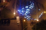 _IGP9963.JPG