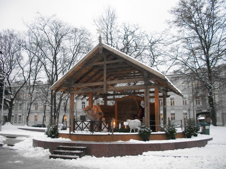 100_4223.JPG