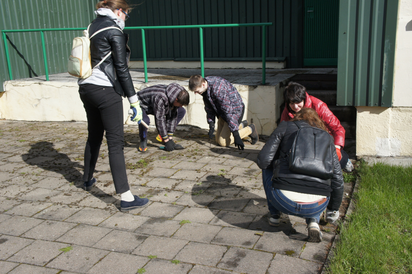 DSC02789.JPG