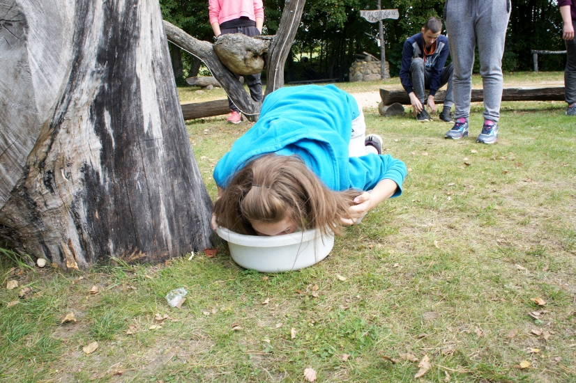 SONY DSC
