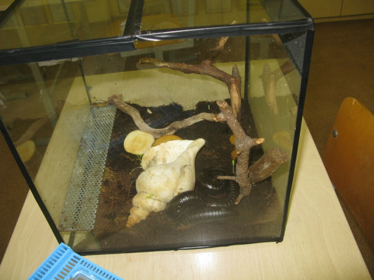 IMG_7770.JPG
