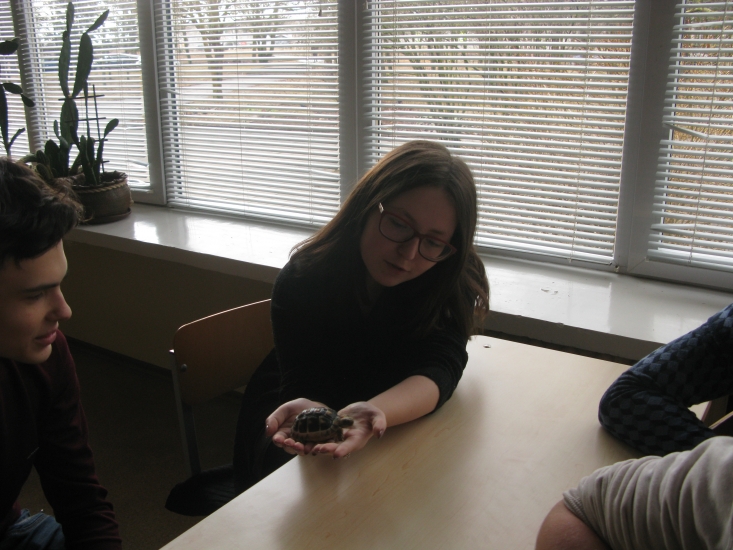 IMG_8355.JPG