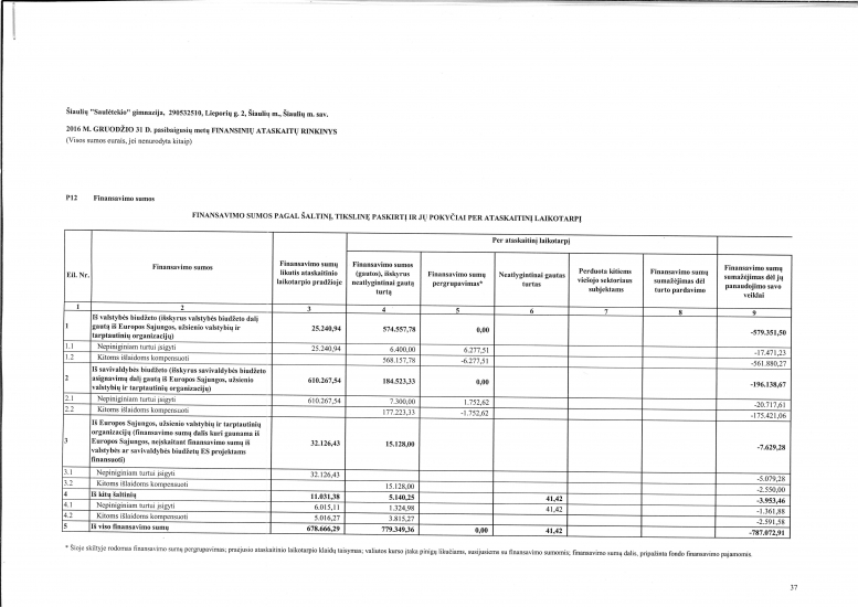 P12_Finansvimo_sumos_282016_m__IV_ketvirtis29.jpg