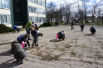 DSC02791.JPG