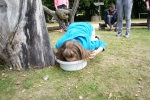 DSC05246.JPG