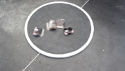DSC05999.JPG