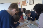 DSC07176.JPG