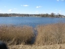 IMG_8435.JPG