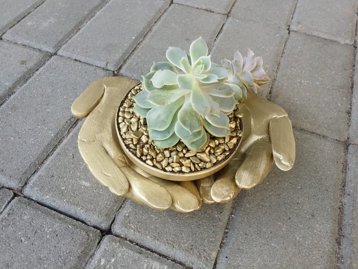 20180522_100412.jpg