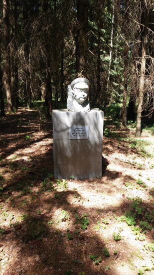 20180606_124408r.jpg