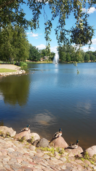 20180606_160658r.jpg