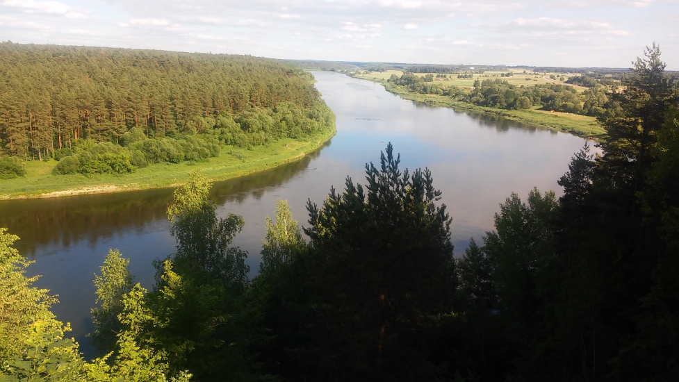20180606_181324r.jpg