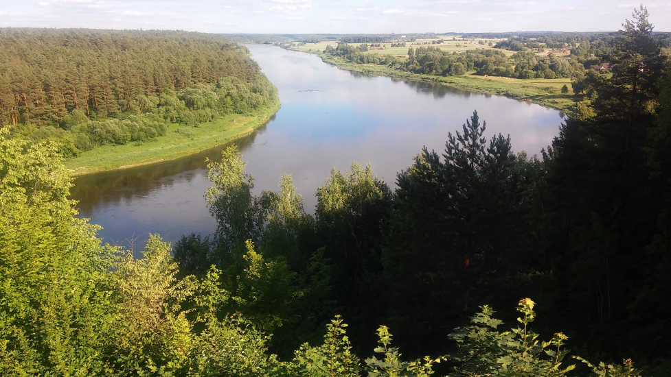 20180606_181339r.jpg