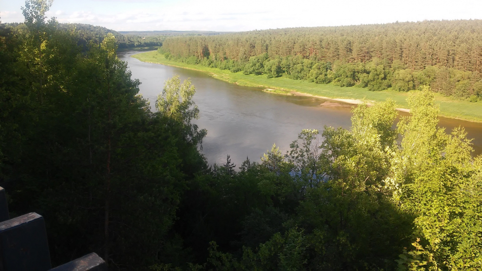 20180606_181350r.jpg