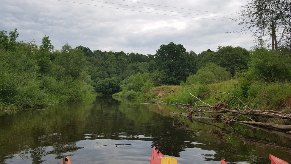 20180616_153936.jpg