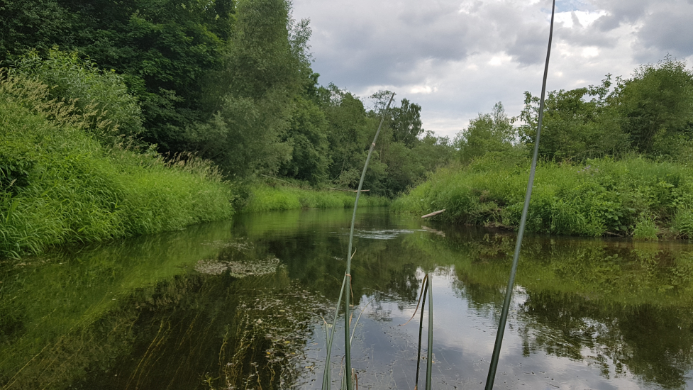 20180616_154940.jpg