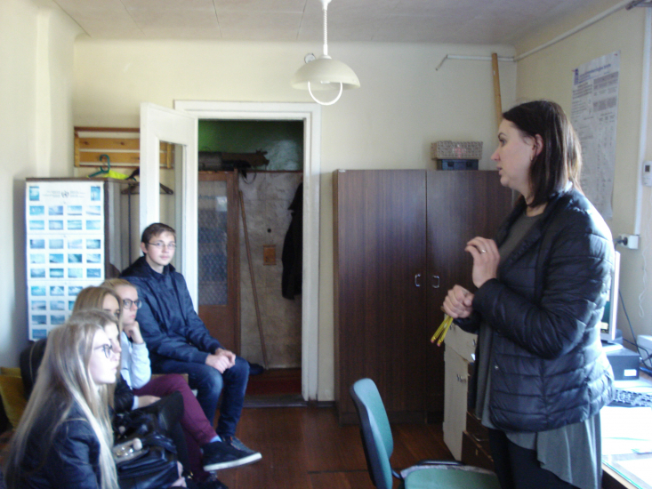 DSC04431~0.JPG