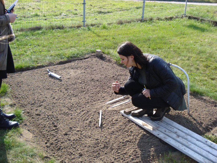 DSC04446.JPG