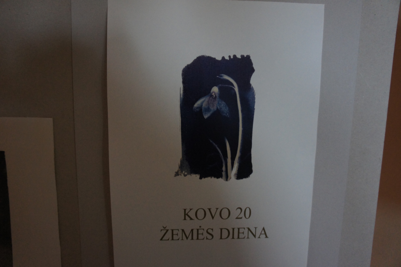 DSC08210.JPG