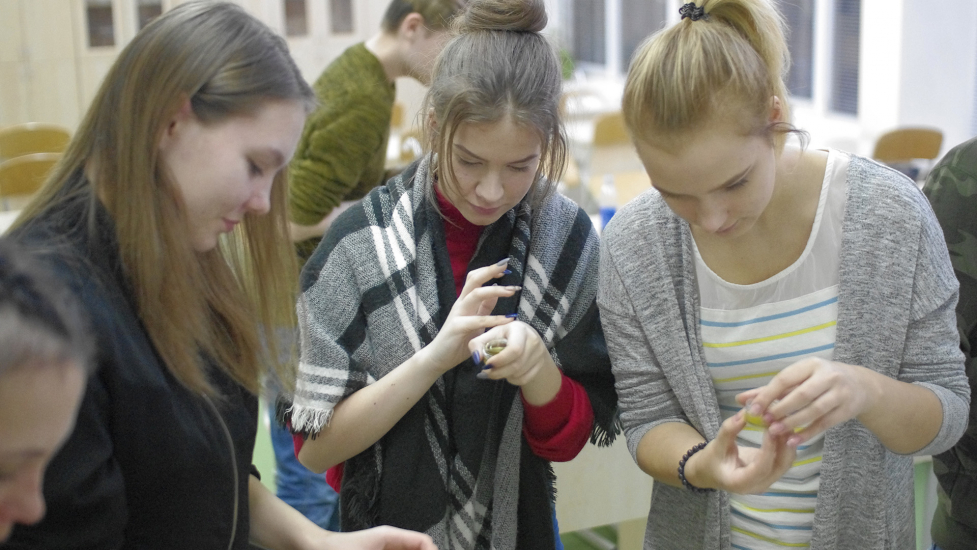_IGP2363.jpg