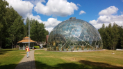 20180606_110953r.jpg