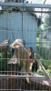 20180606_122338r.jpg