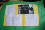 DSC04904.JPG