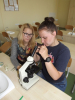 DSCF1071.JPG