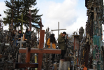 DSC_1235.JPG