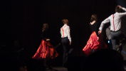 P1180552.JPG