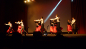 P1180560.JPG