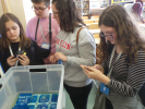 exl-proces20190320_125236.JPG