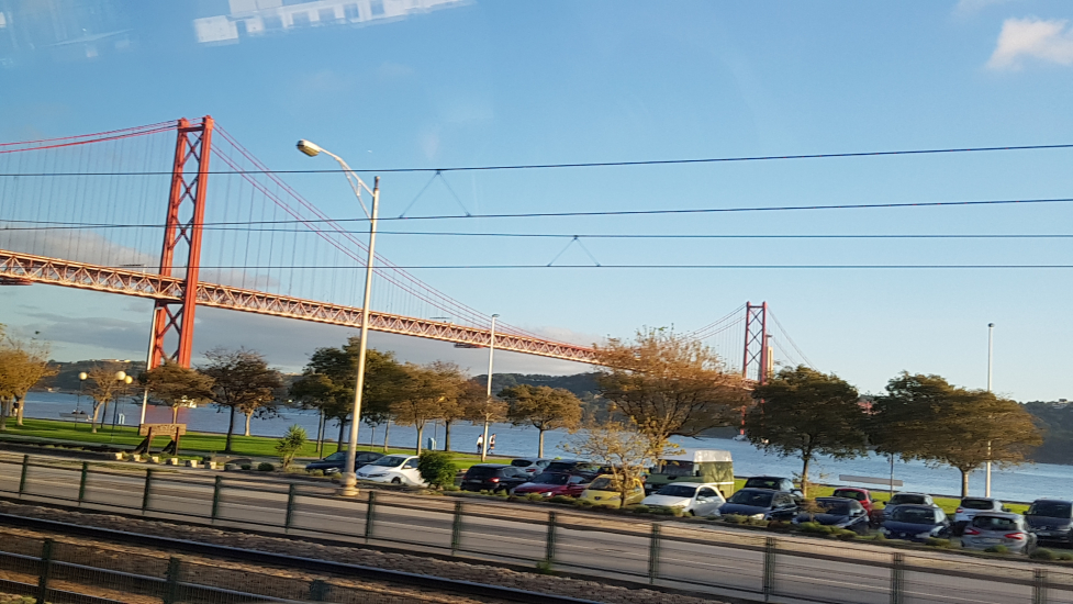 20191113_163416.jpg